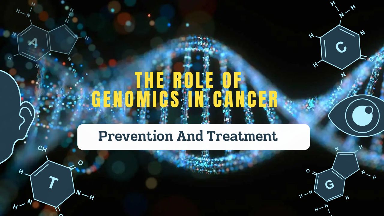 The Role Of Genomics In Cancer Prevention And Treatment