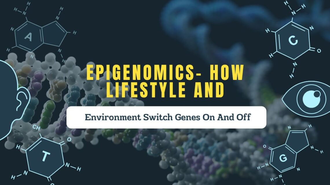 Epigenomics- How Lifestyle And Environment Switch Genes On And Off