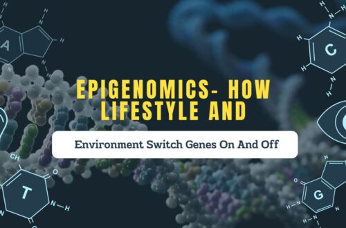 Epigenomics- How Lifestyle And Environment Switch Genes On And Off