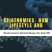 Epigenomics- How Lifestyle And Environment Switch Genes On And Off